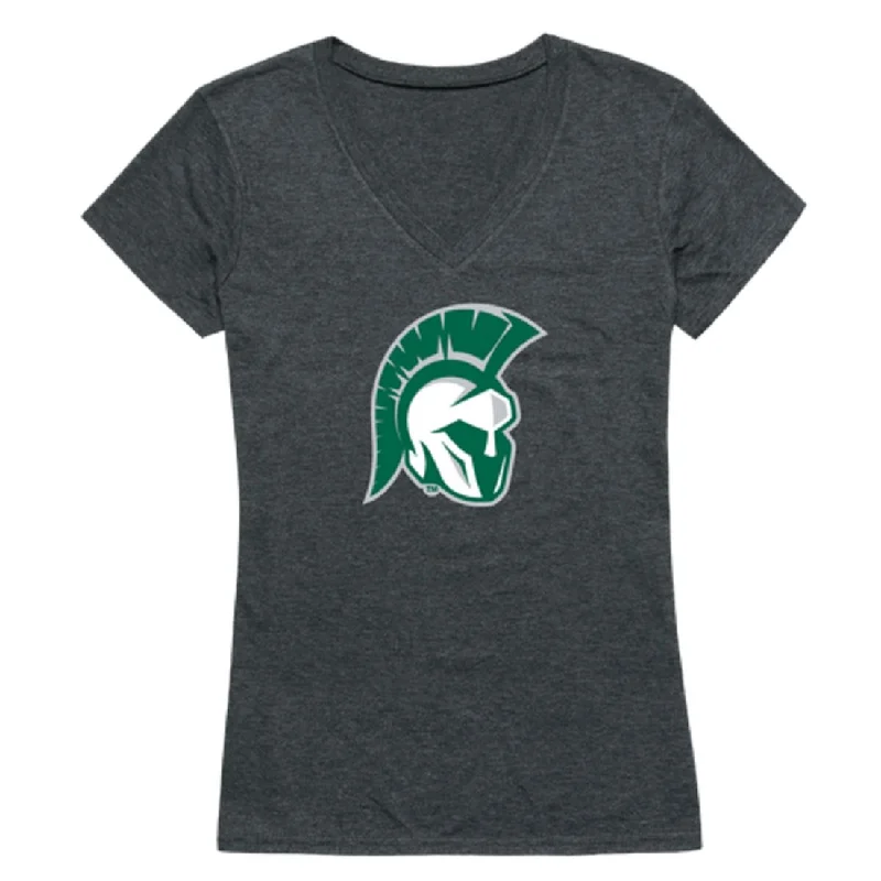 Illinois Wesleyan University Titans Womens Cinder T-Shirt Elegant Classic Vintage